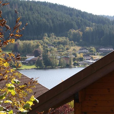 Chalet Vosgien Gérardmer Eksteriør bilde